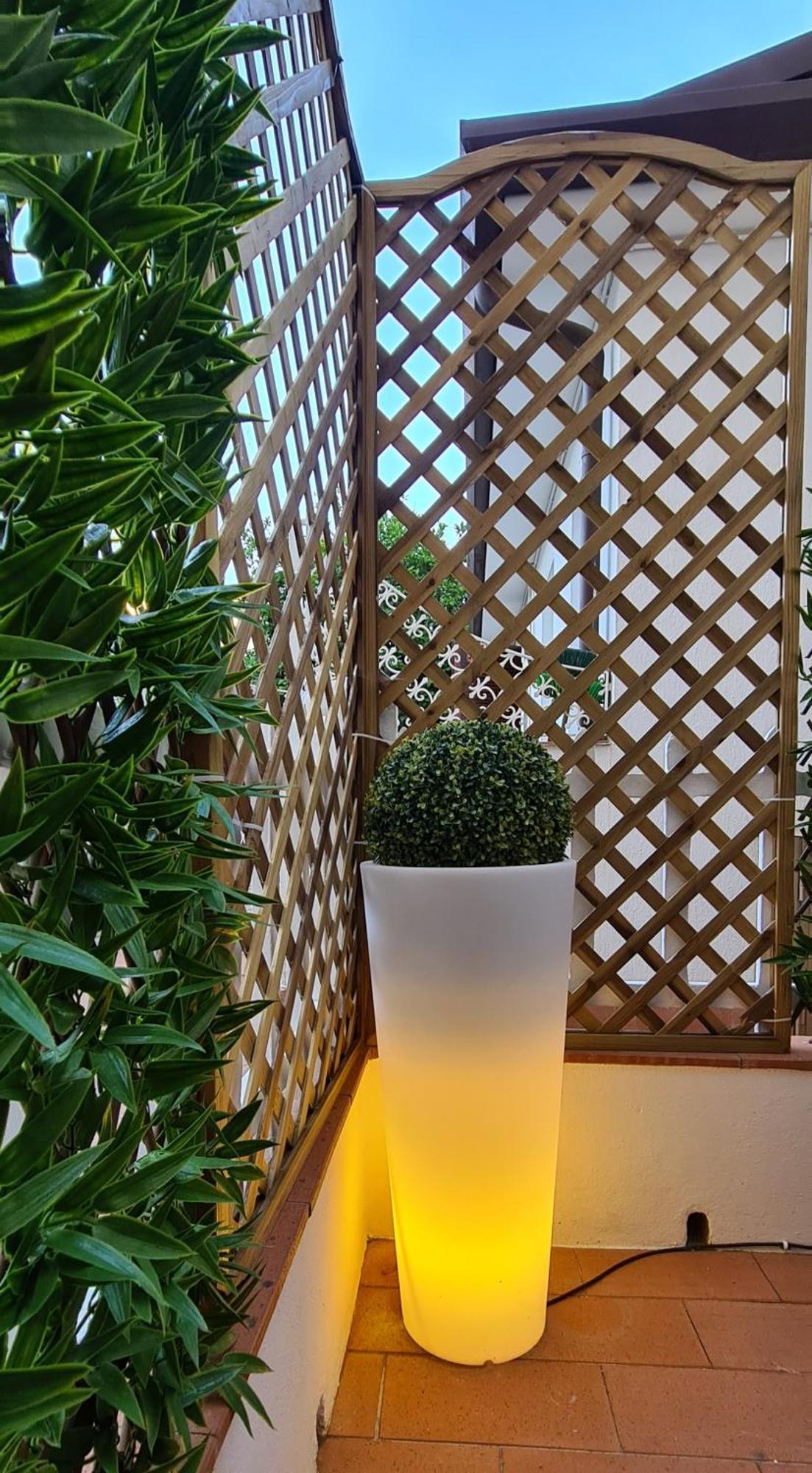 Suite Carducci Viareggio Exterior foto